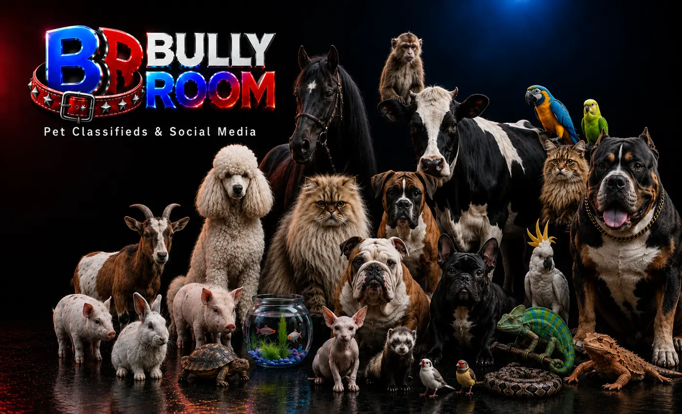 Bully Room app preview in dark theme with pets, listings, videos, and community features